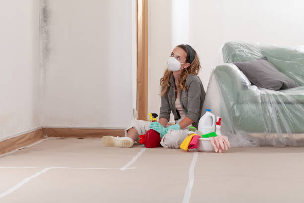 Reliable Mold Inspection contractor in Oceanport, NJ by WQB Mold Removal